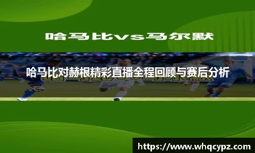 哈马比对赫根精彩直播全程回顾与赛后分析
